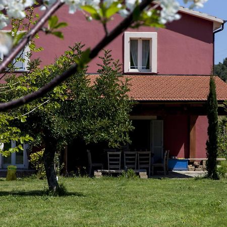 Agriturismo Campoletizia Miglianico Exterior photo