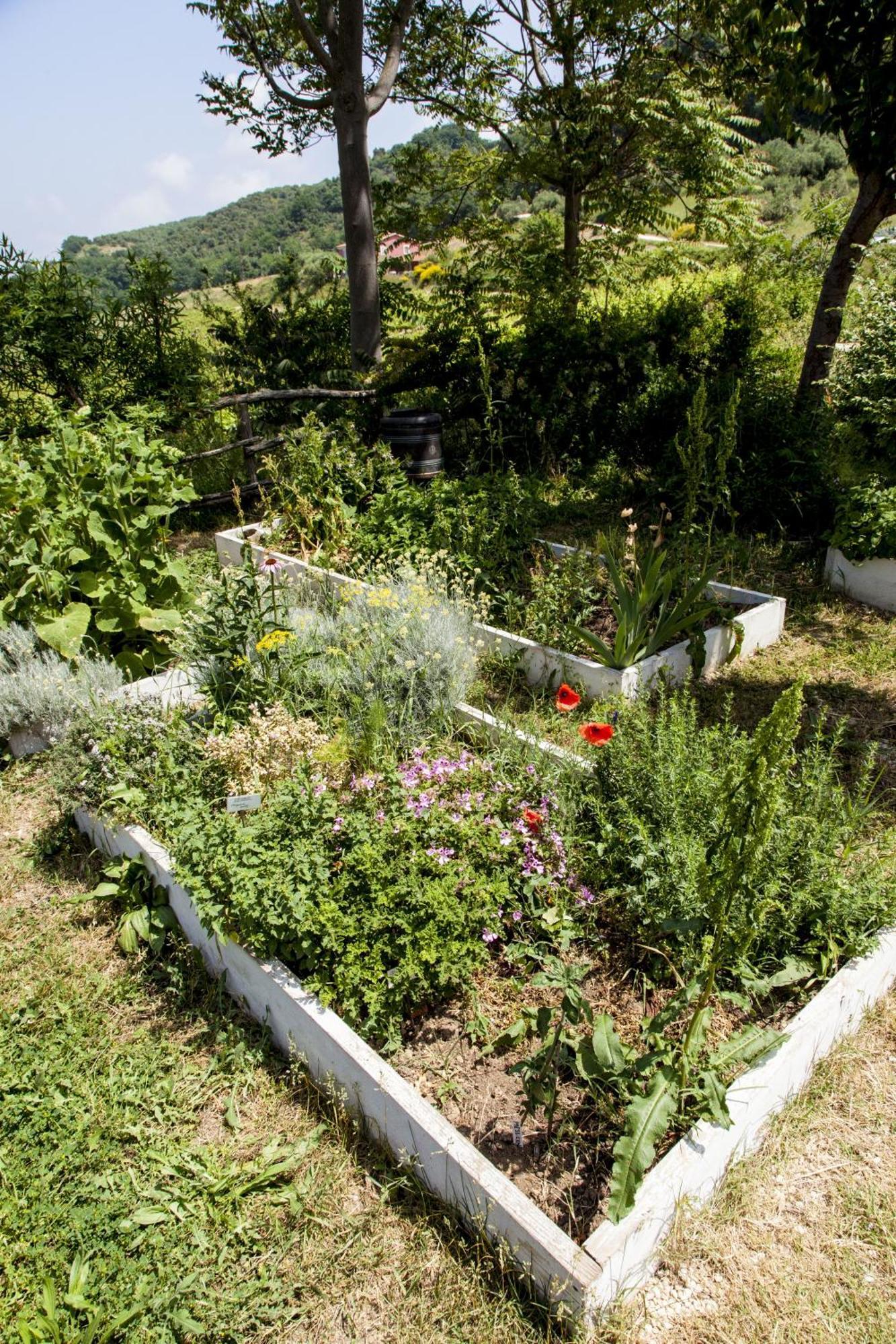 Agriturismo Campoletizia Miglianico Exterior photo
