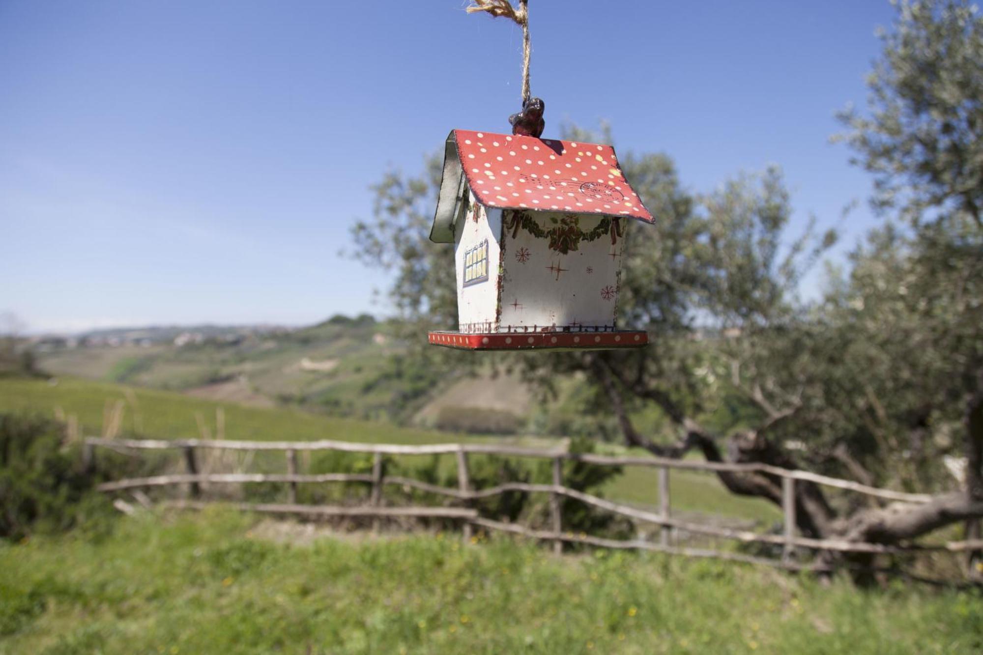 Agriturismo Campoletizia Miglianico Exterior photo