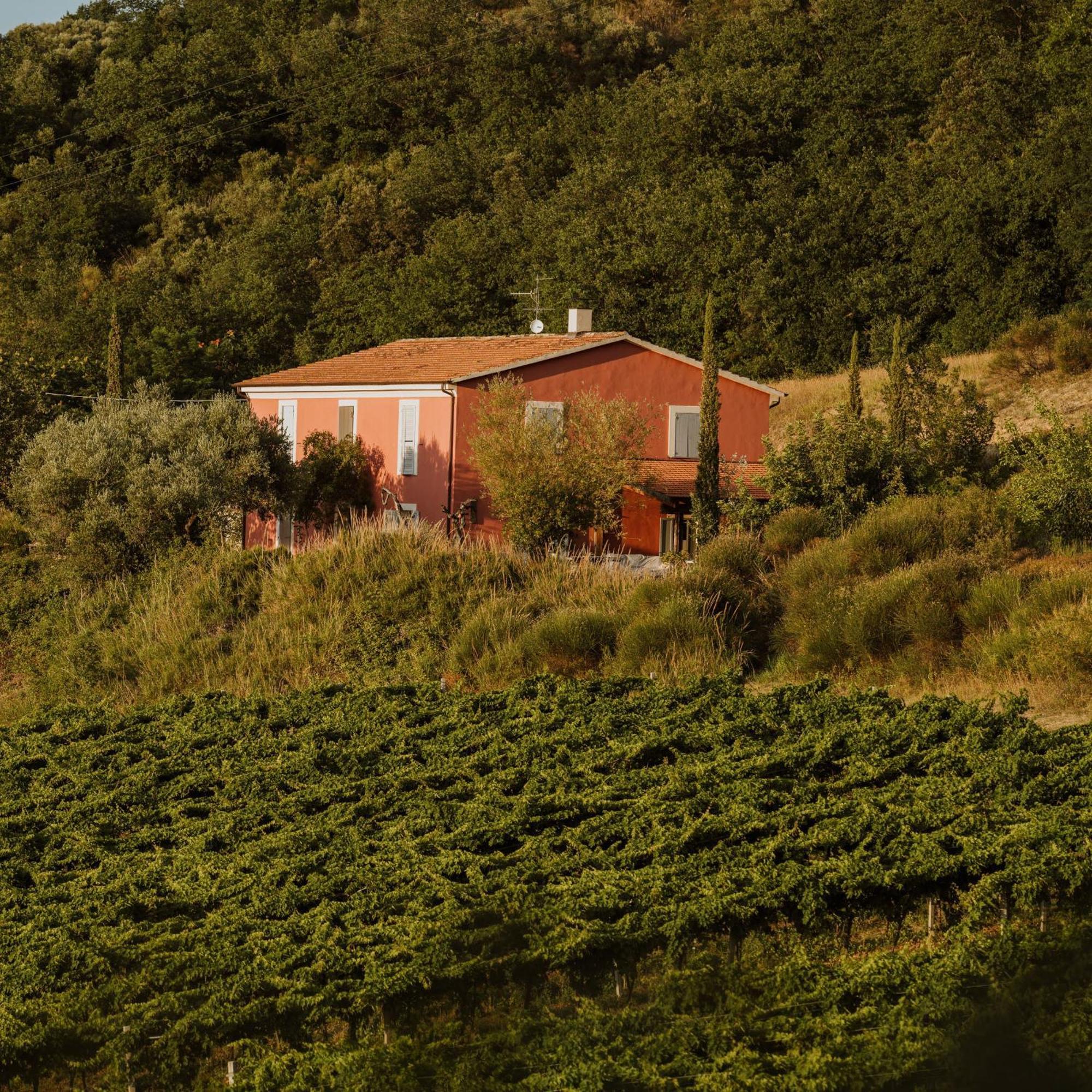 Agriturismo Campoletizia Miglianico Exterior photo