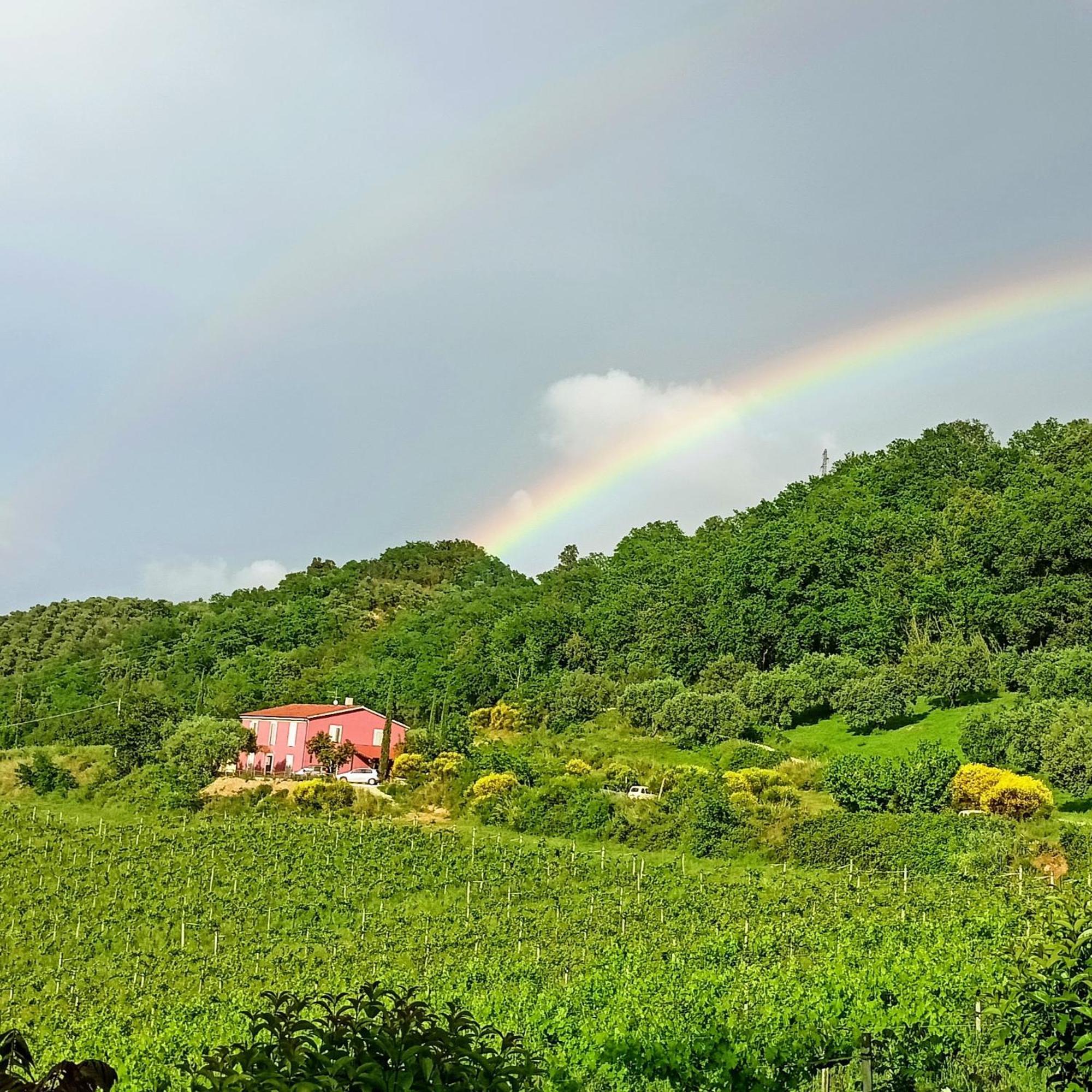 Agriturismo Campoletizia Miglianico Exterior photo
